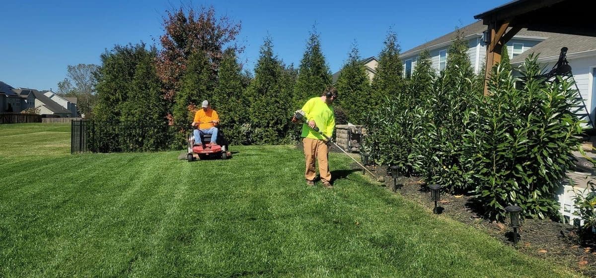 Freshly mown lawn being edged with a line trimmer, with a ride-on mower behind