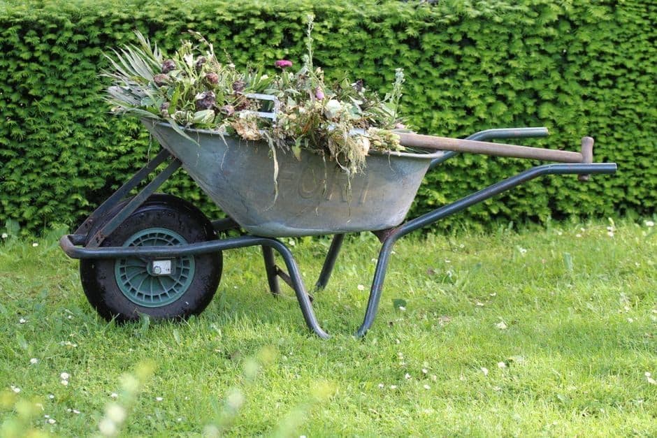 Garden maintenance